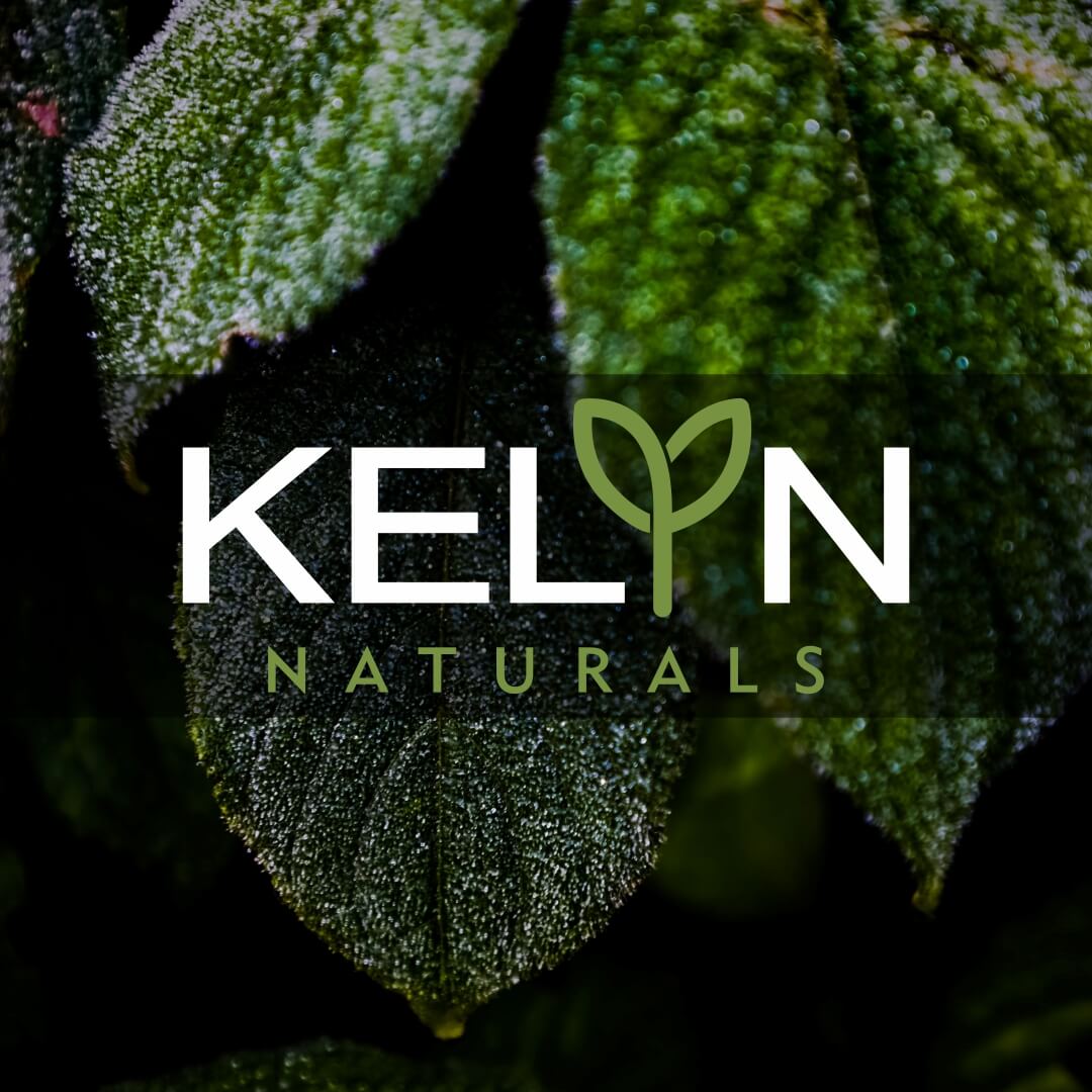 Kelyn Portfolio